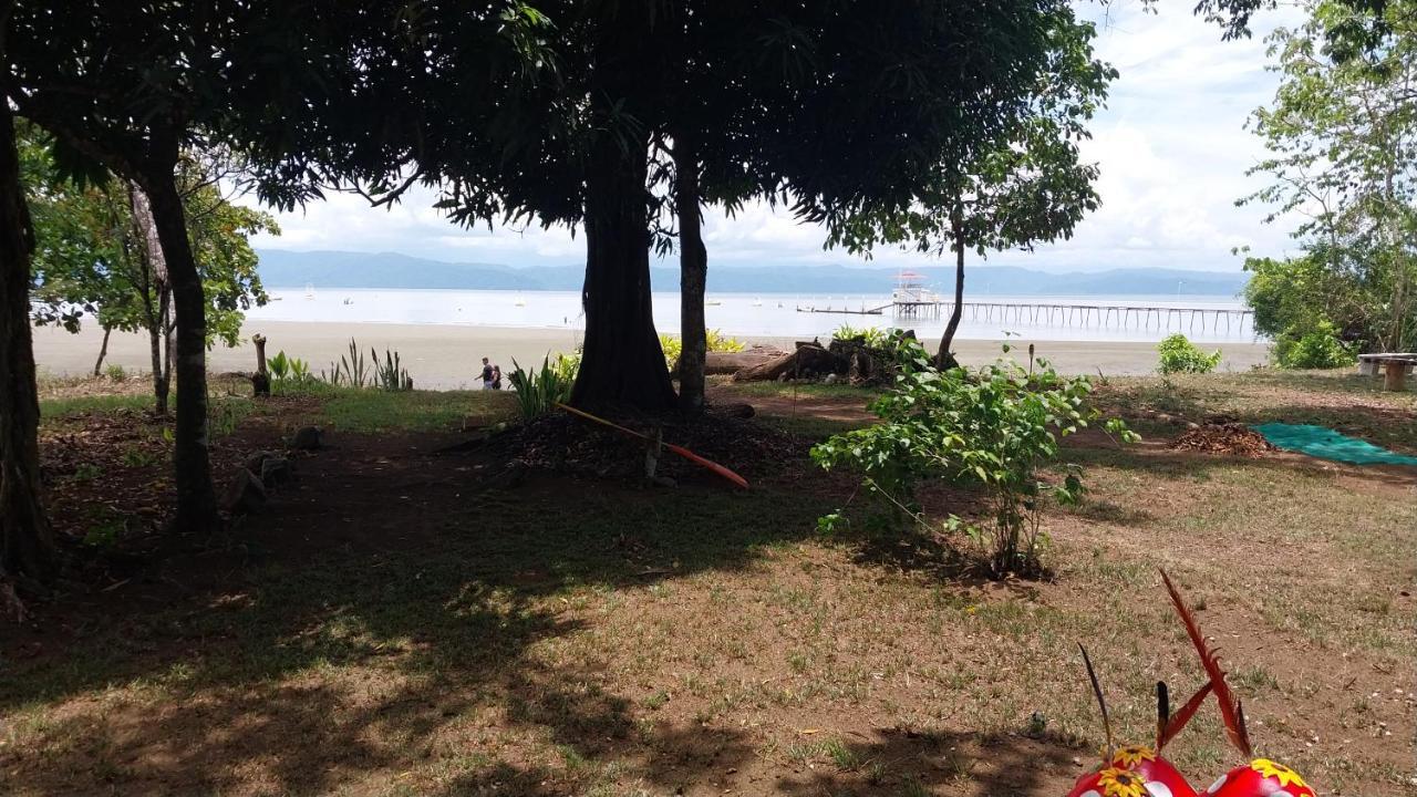 Happy Monkeys Villa Puerto Jimenez Exterior photo