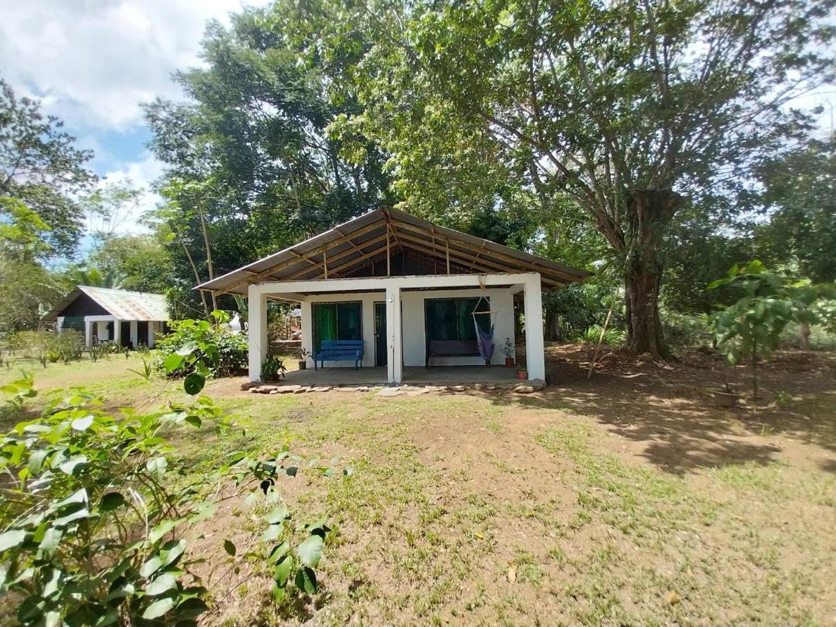 Happy Monkeys Villa Puerto Jimenez Exterior photo