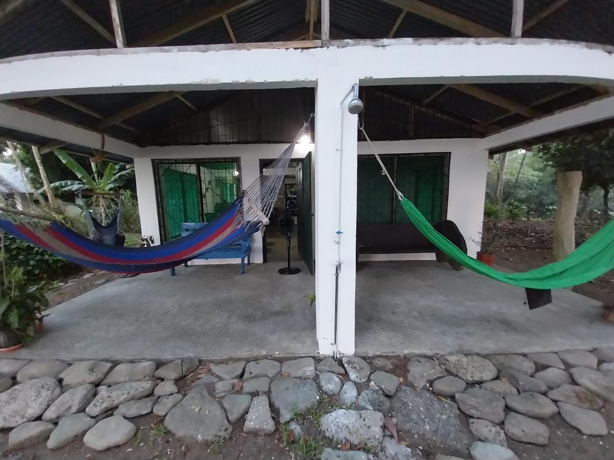 Happy Monkeys Villa Puerto Jimenez Exterior photo
