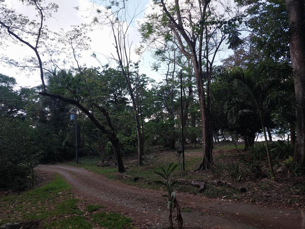 Happy Monkeys Villa Puerto Jimenez Exterior photo