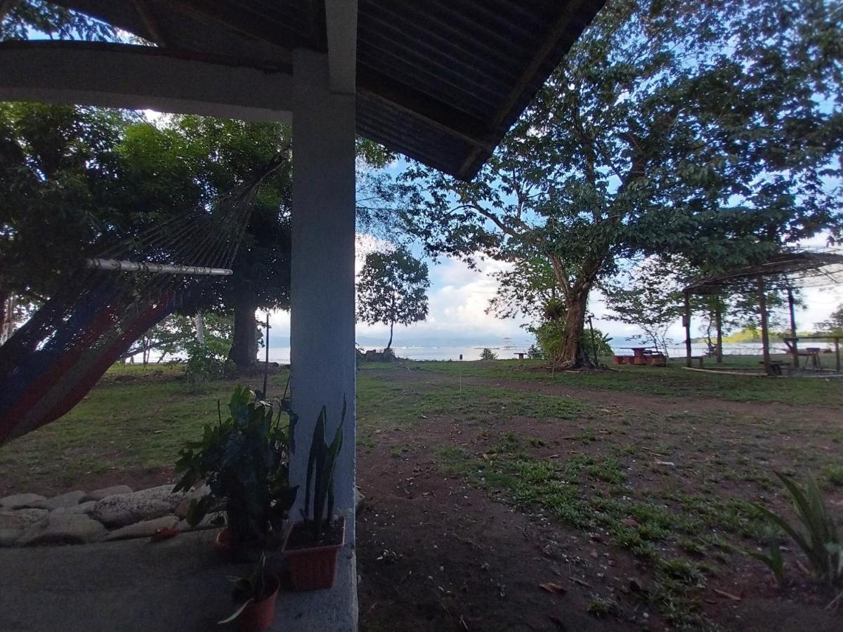 Happy Monkeys Villa Puerto Jimenez Exterior photo