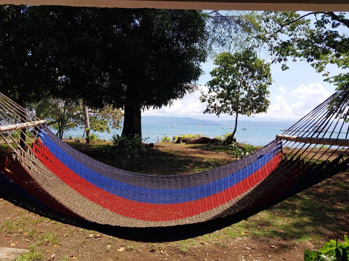 Happy Monkeys Villa Puerto Jimenez Exterior photo