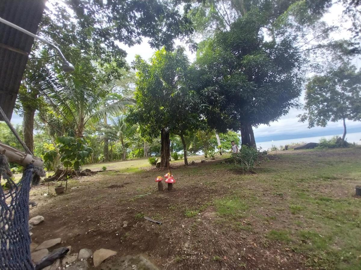 Happy Monkeys Villa Puerto Jimenez Exterior photo