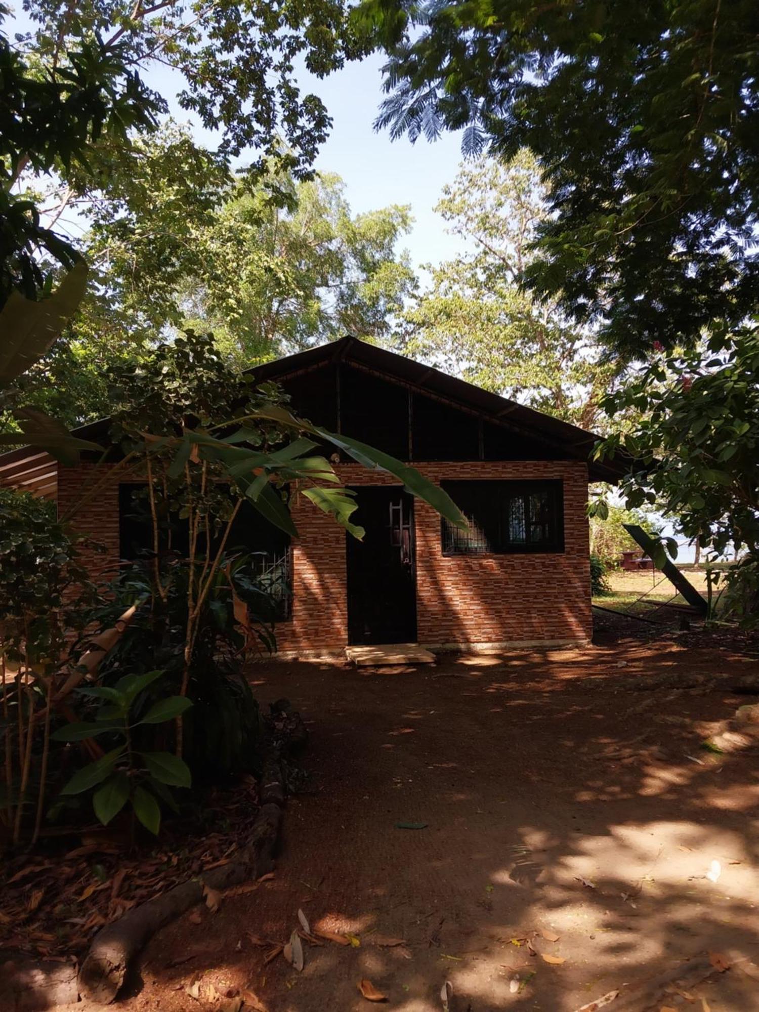 Happy Monkeys Villa Puerto Jimenez Exterior photo